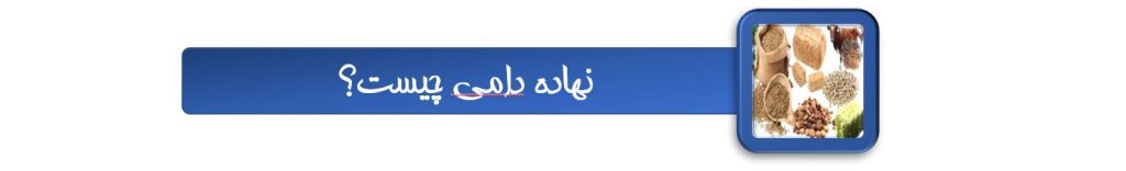 انواع نهاده دامی و کاربردهای آن
