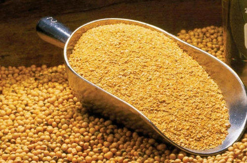 زنجیره جهانی تجارت کنجاله سویا