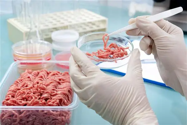 اولین خط ارزیابی گوشت وارداتی