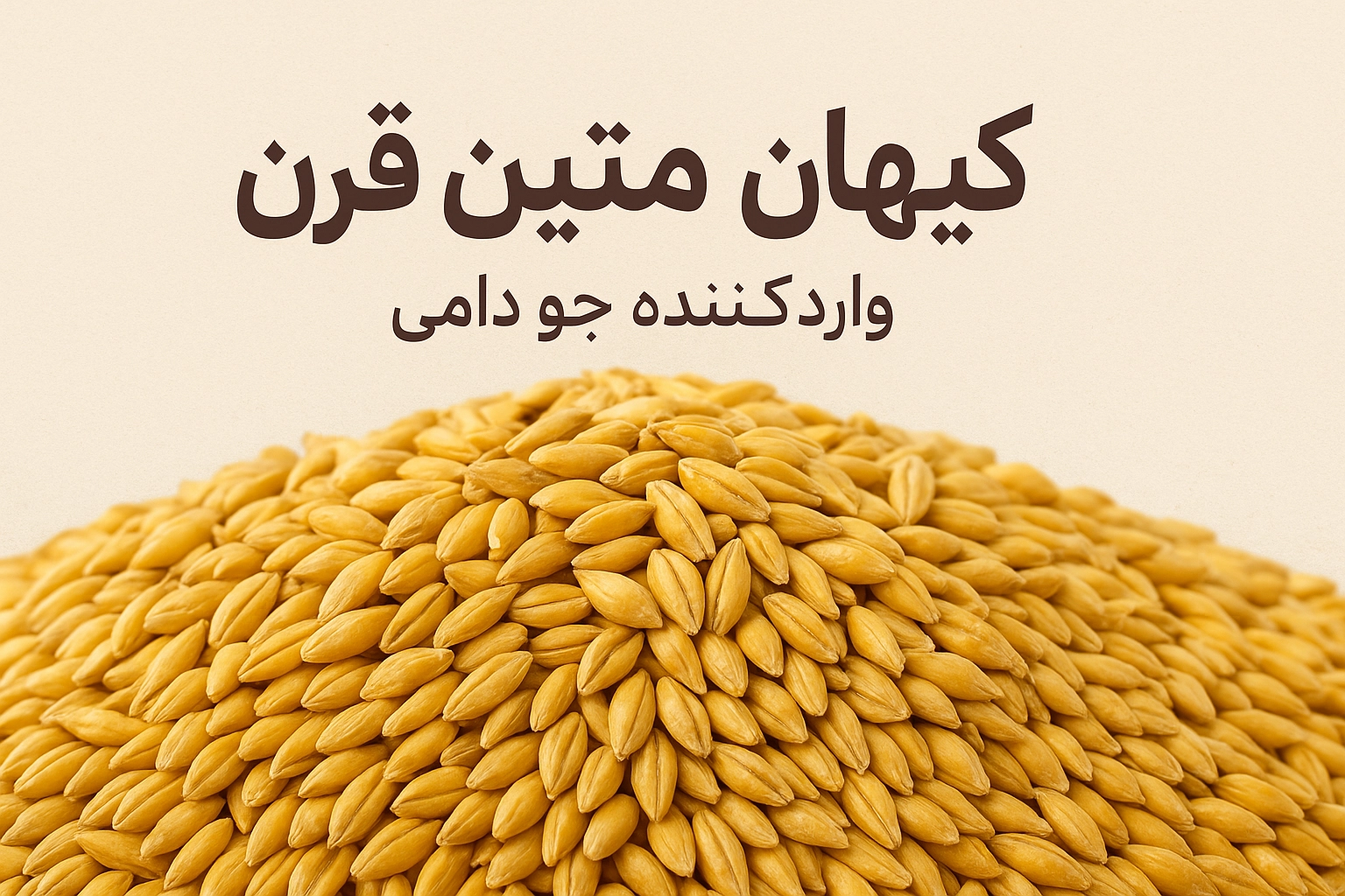 خرید جو دامی وارداتی از کیهان متین قرن