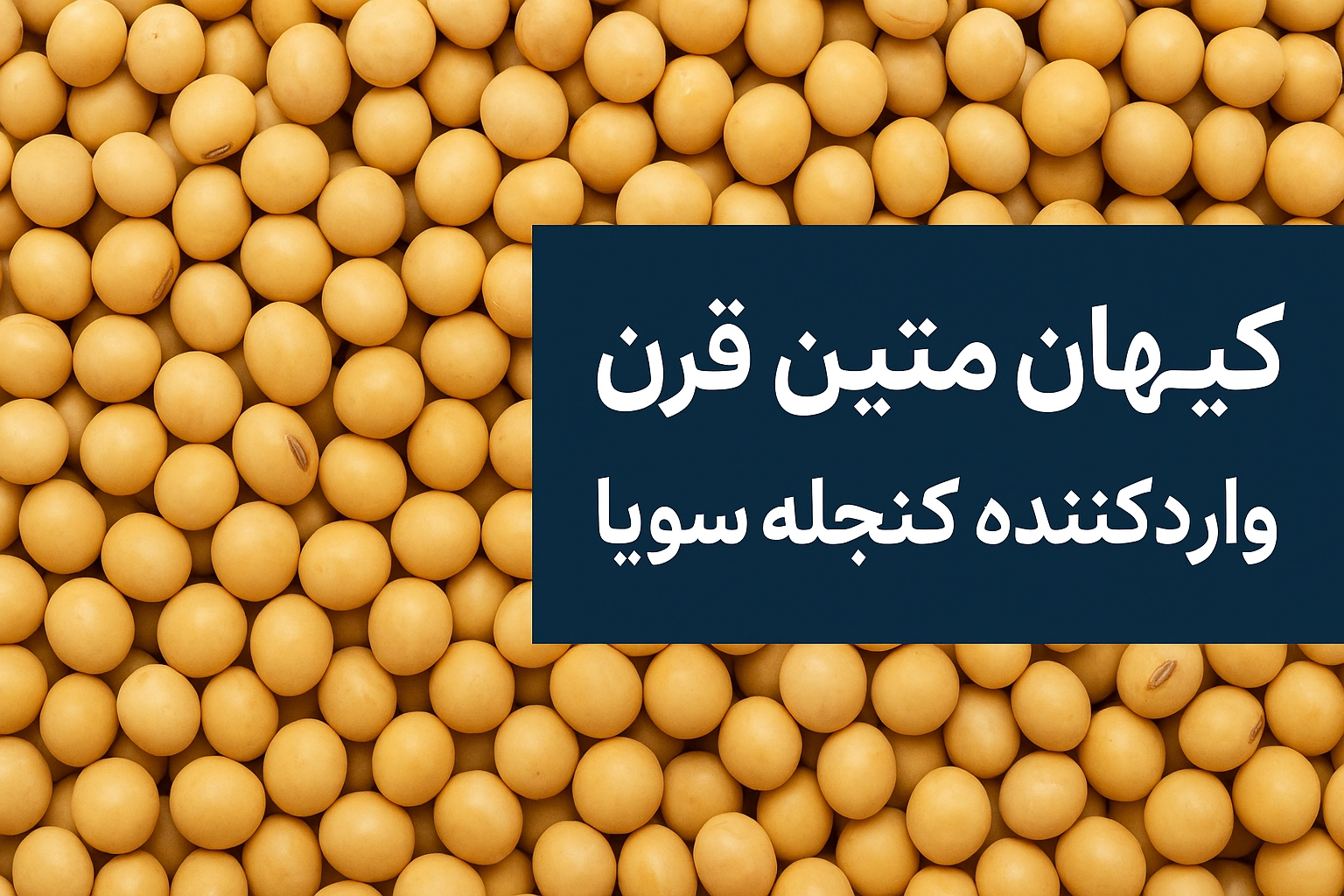 واردکننده کنجله سویا